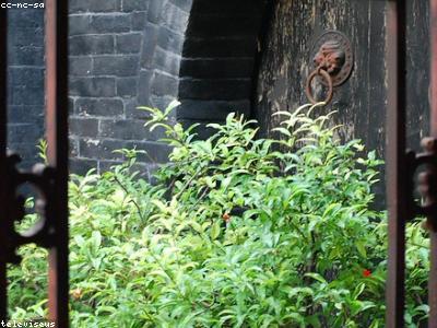 Courtyard of a boutique guesthouse in Ikoyi